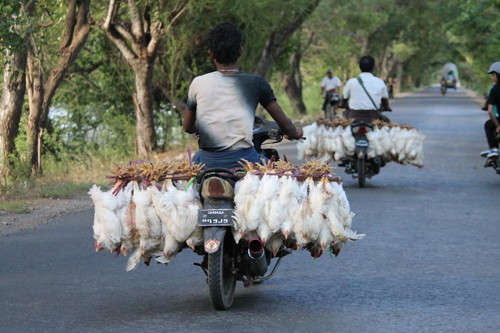 homme en t-shirt blanc conduisant une moto avec des fleurs blanches