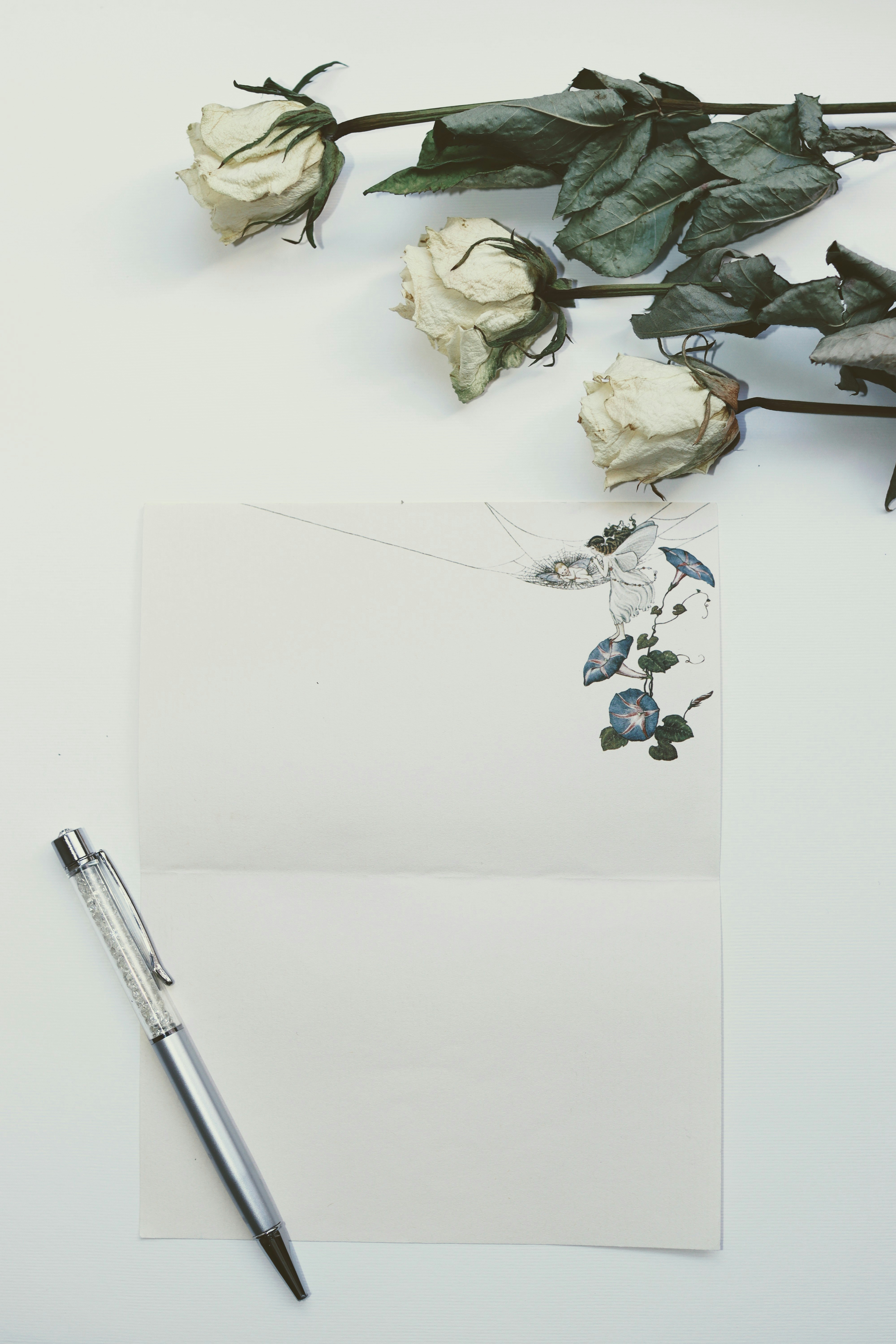 white rose beside white rose