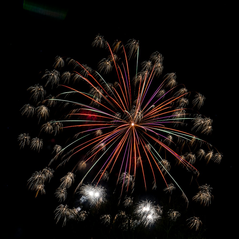 red and white fireworks display during nighttime