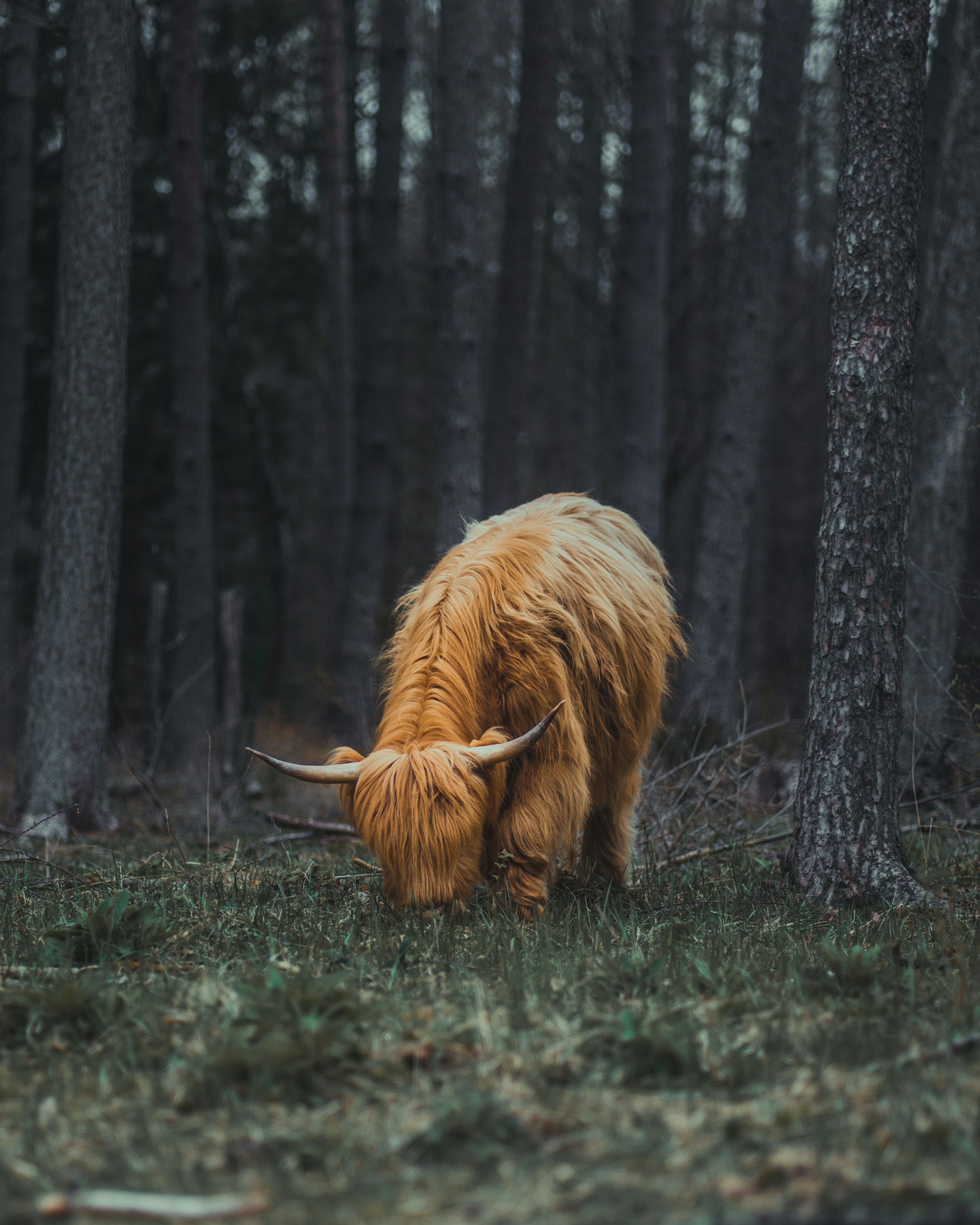 Photo by viklukphotography
