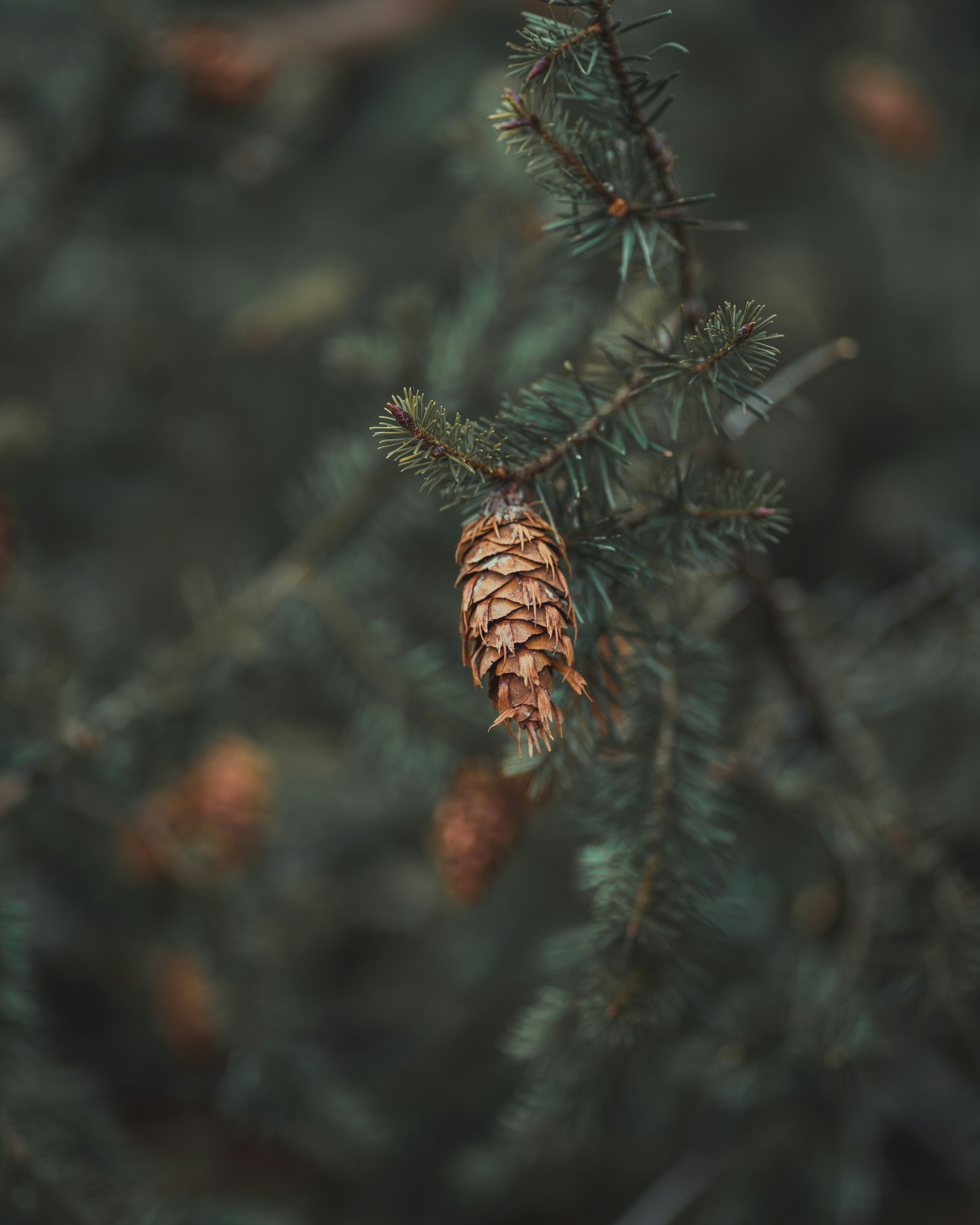 Photo by viklukphotography