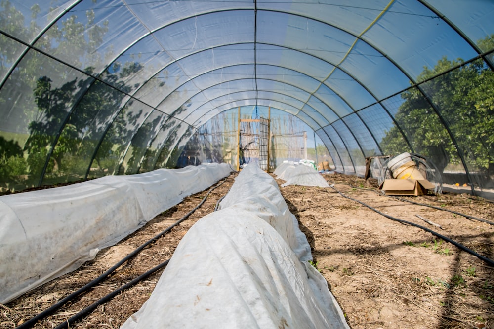 white tent on brown soil