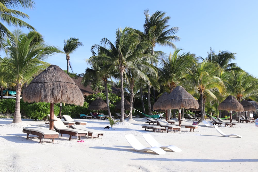 cabana de nipa marrom na praia de areia branca durante o dia