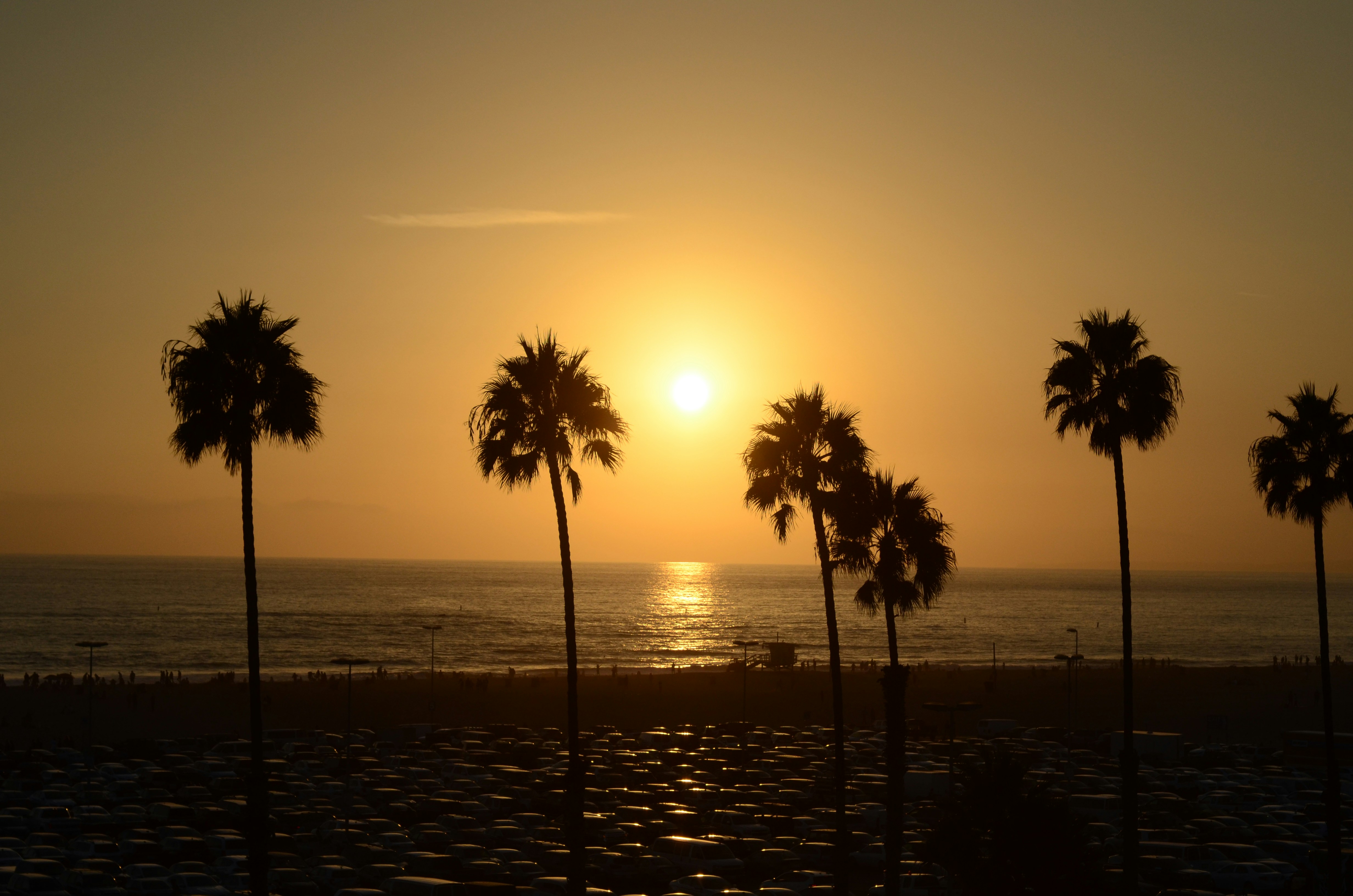 Photo by matheusagcosta