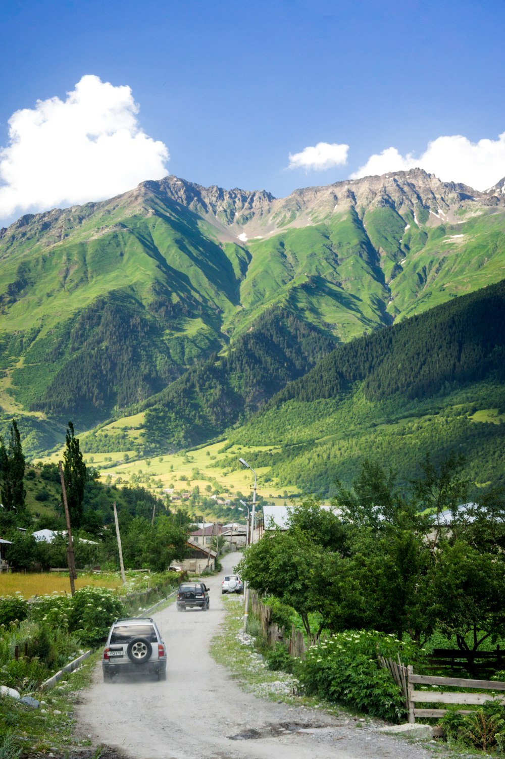 green mountains and trees during daytime