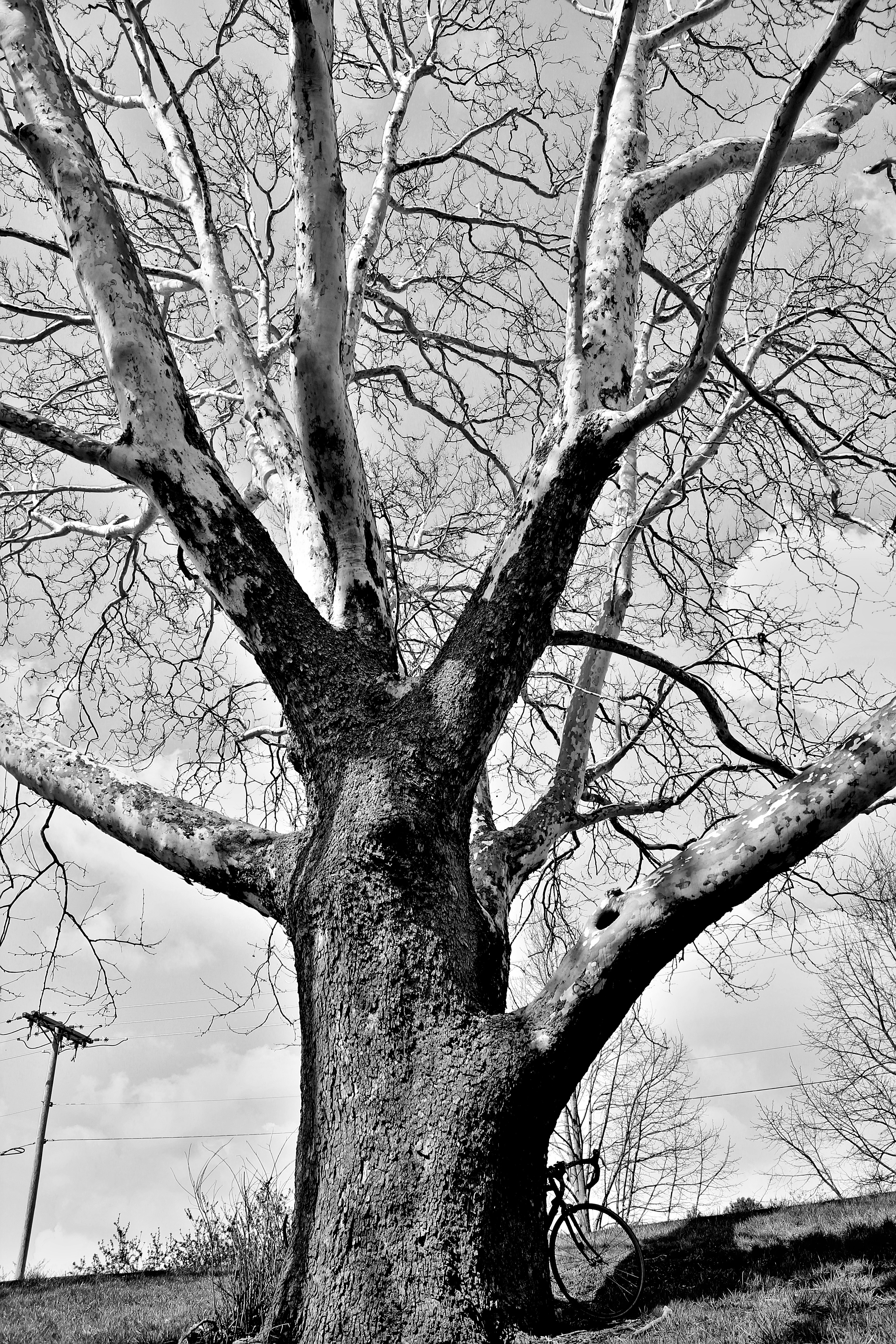 Photo by mrgreatheart