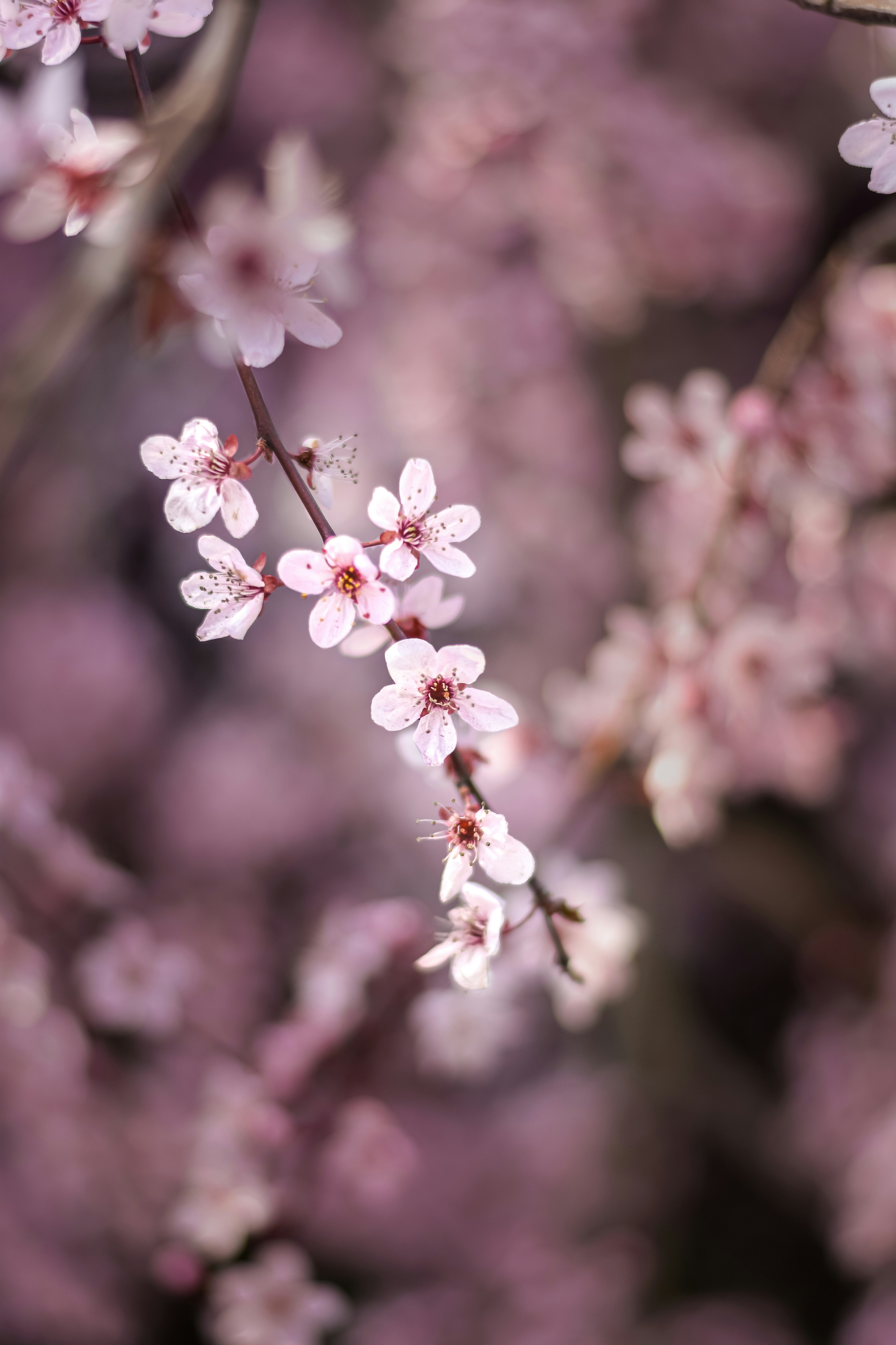 Photo by shadowstacker