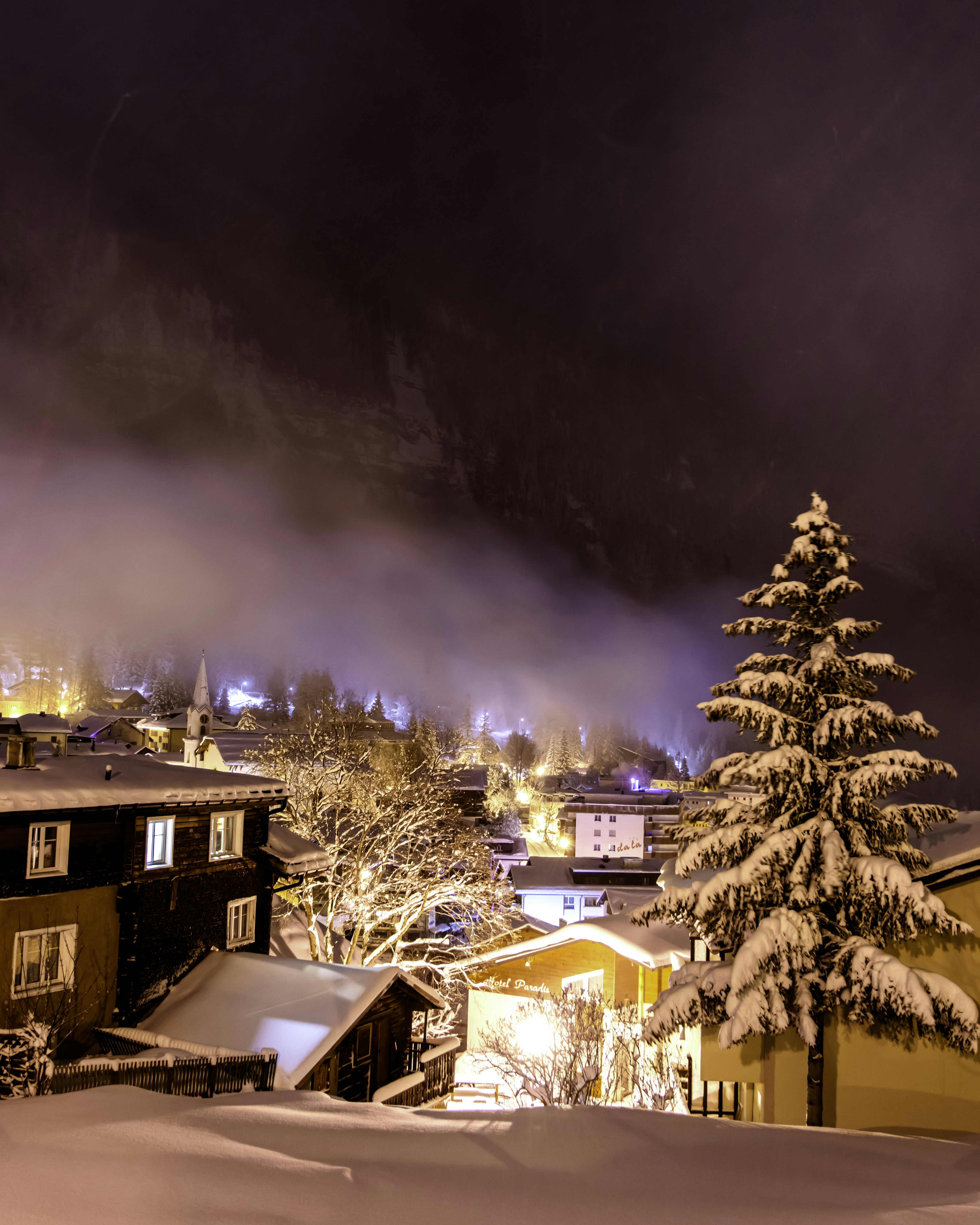 Festive Winter Wishes