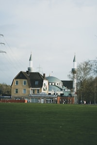 A mosque with a large dome and two tall minarets stands amidst a grassy field. The building appears to be two stories high, with a mix of brown and white exteriors. Several trees are visible on the right side, and there are power lines running alongside the left side of the scene. The signage on the building is in German.