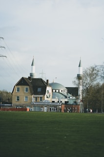 A mosque with a large dome and two tall minarets stands amidst a grassy field. The building appears to be two stories high, with a mix of brown and white exteriors. Several trees are visible on the right side, and there are power lines running alongside the left side of the scene. The signage on the building is in German.