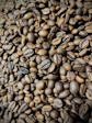 Close-up of artisanal roasted coffee beans from various origins in rustic sacks