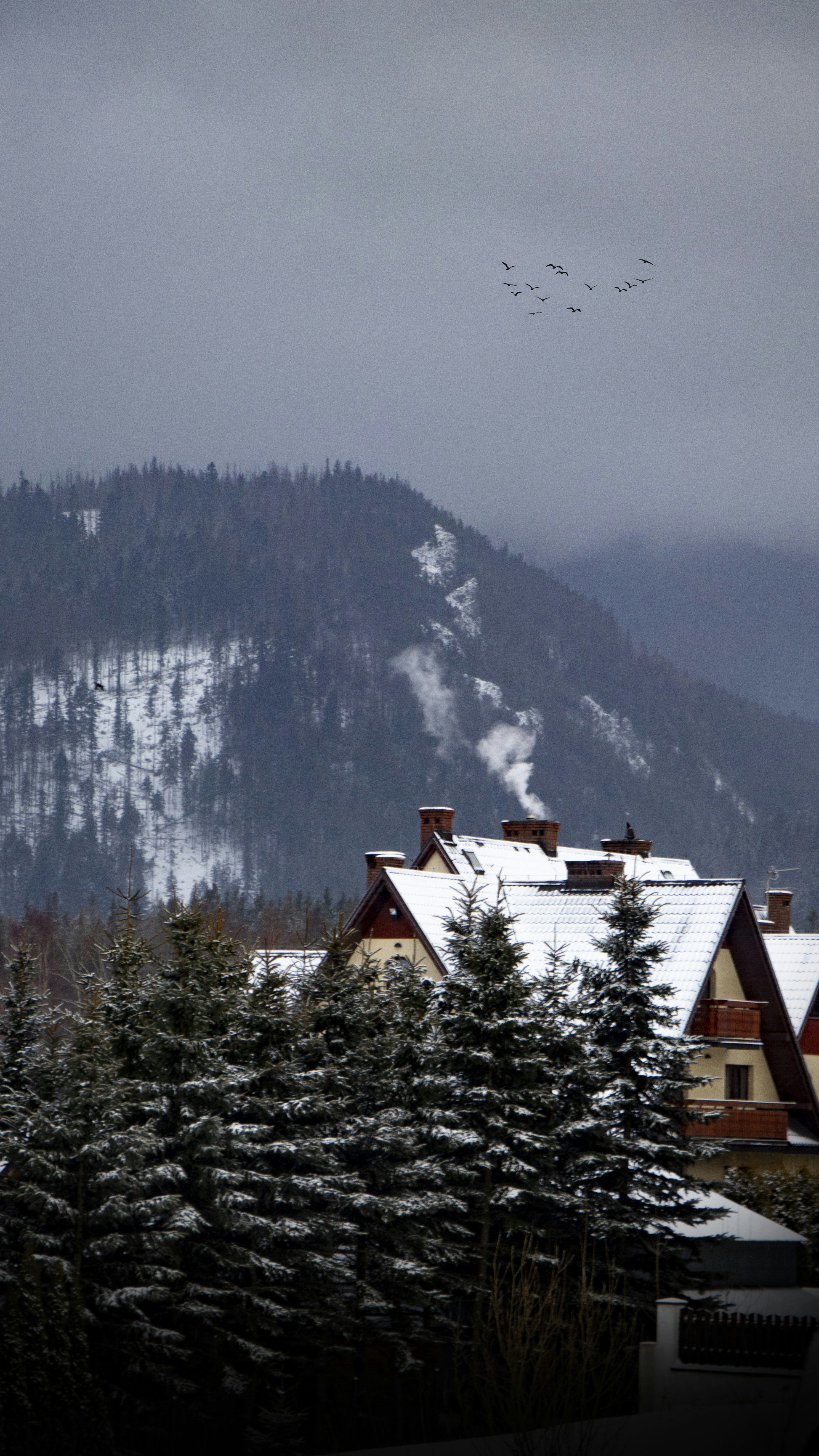 Brown and white house near green trees during daytime photo – Free ...