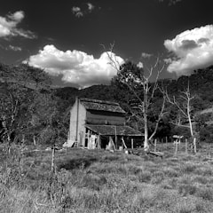 Rustic abandoned farmhouse surrounded by overgrown fields