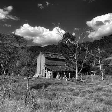 Rustic abandoned farmhouse surrounded by overgrown fields