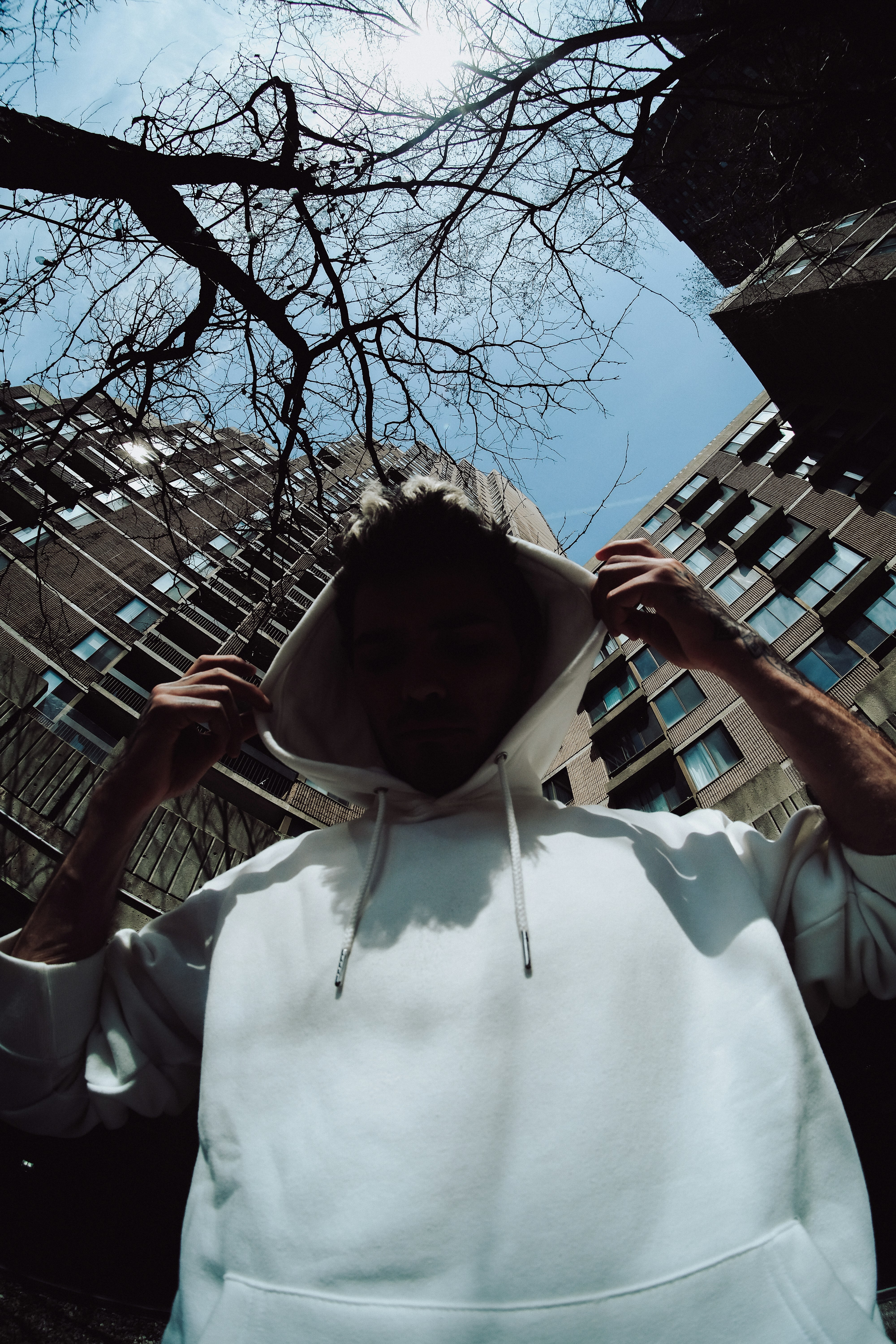 man in white shirt holding on bare tree during daytime