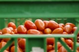 Organic tomatoes glistening with morning dew in a rustic crate.