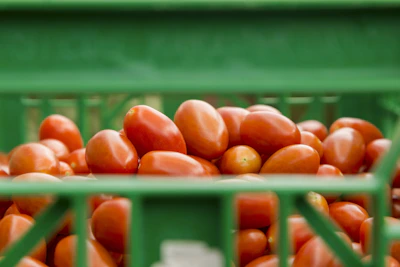 Bright red tomatoes resting on a rustic wooden crate with morning dew glistening on their skin