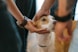 A person gently petting a dog on its head with both hands. The dog appears calm and attentive, looking slightly upwards. The background is blurred, focusing the viewer's attention on the interaction between the person and the dog.