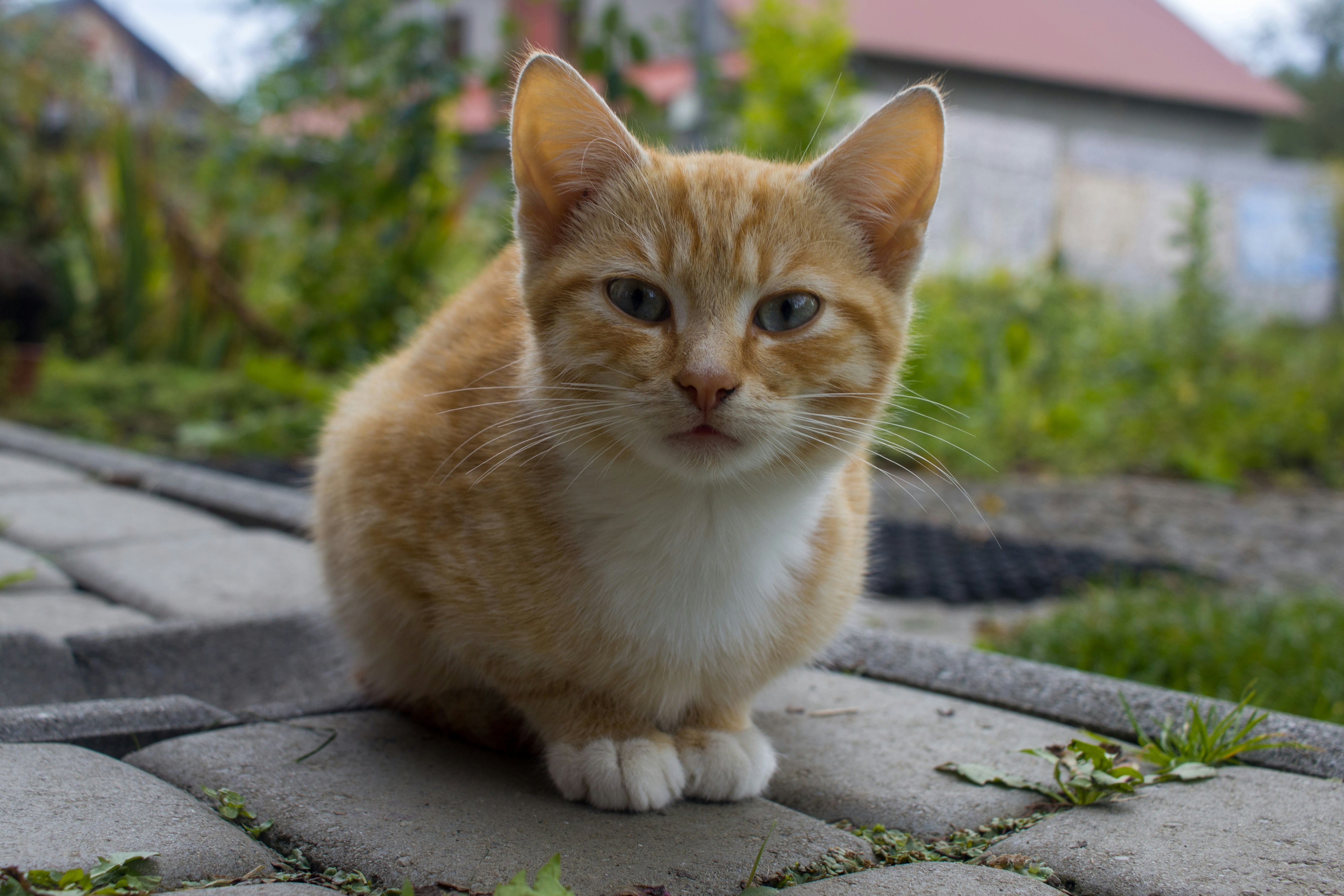 Photo by uin84917798