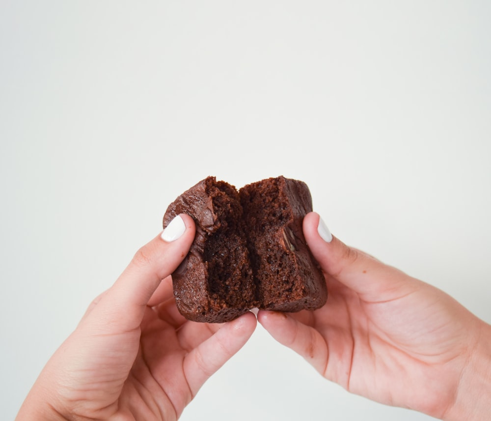 person holding brown stone fragment