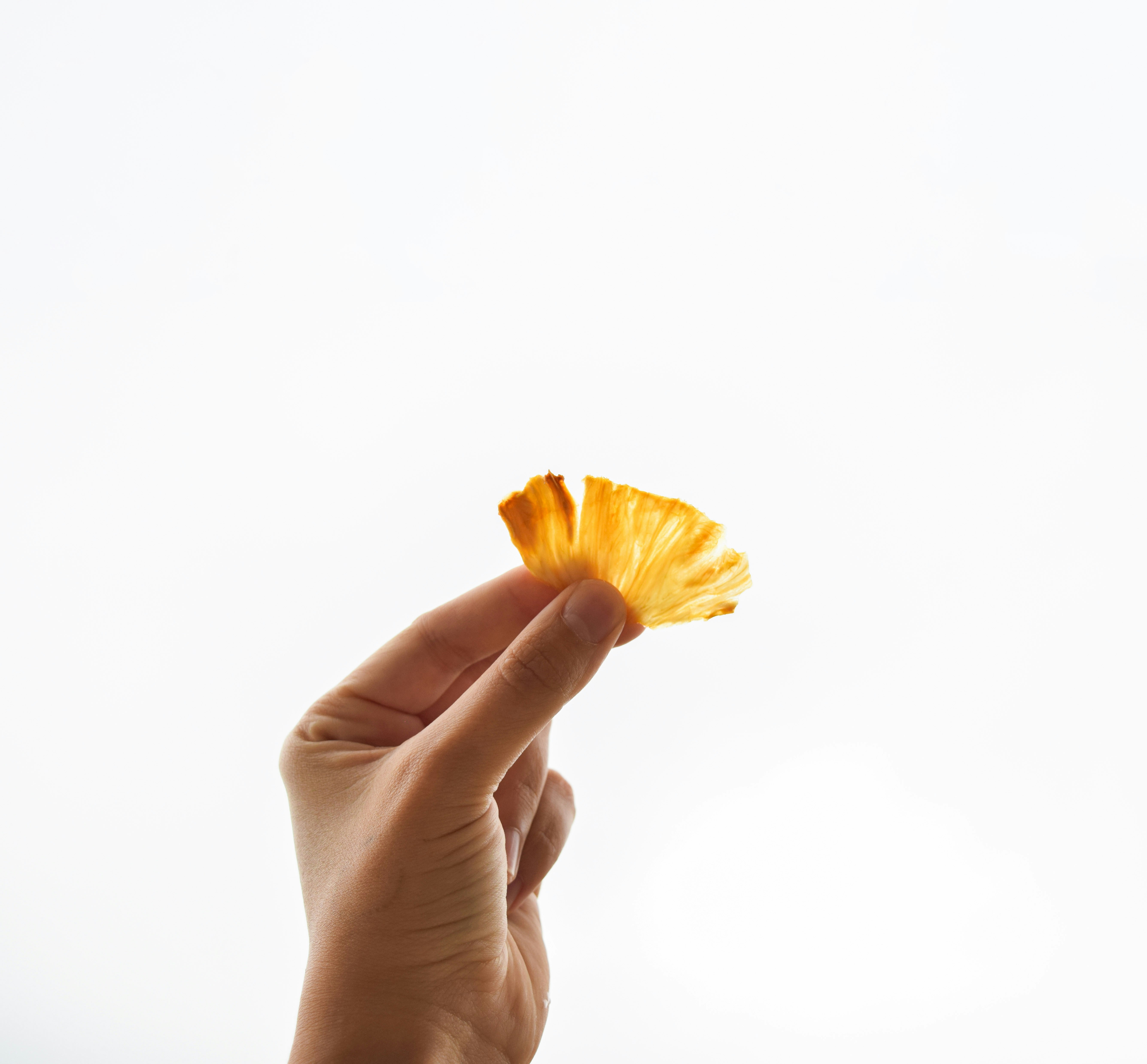 person holding yellow flower in close up photography