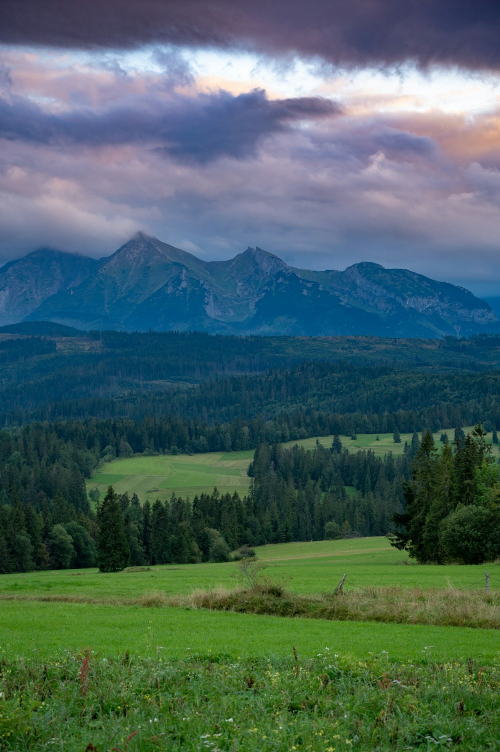 green trees and mountain under cloudy sky during daytime