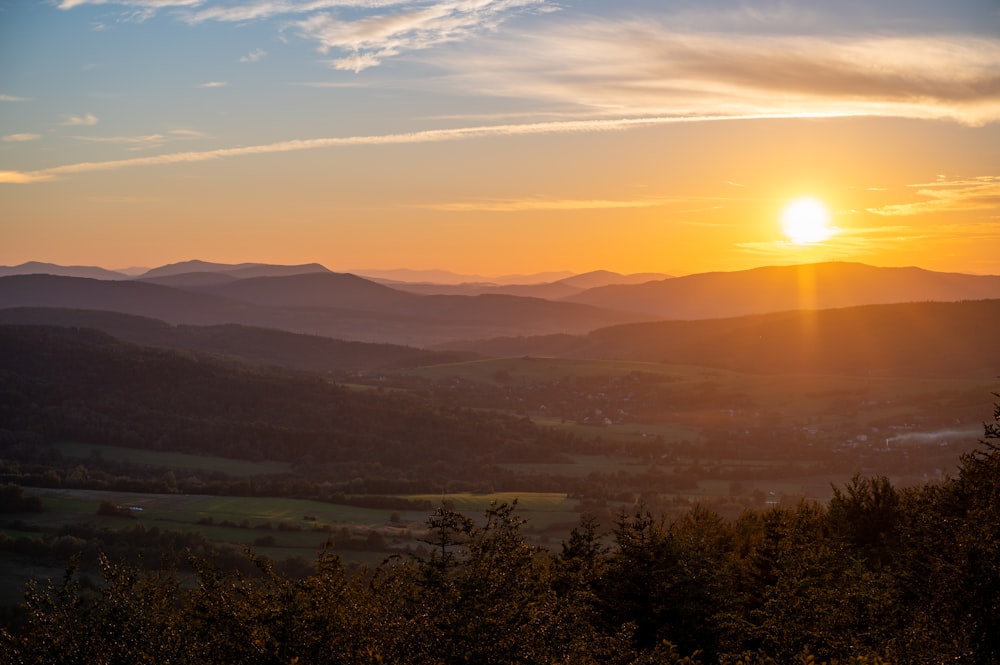 green trees on mountain during sunset