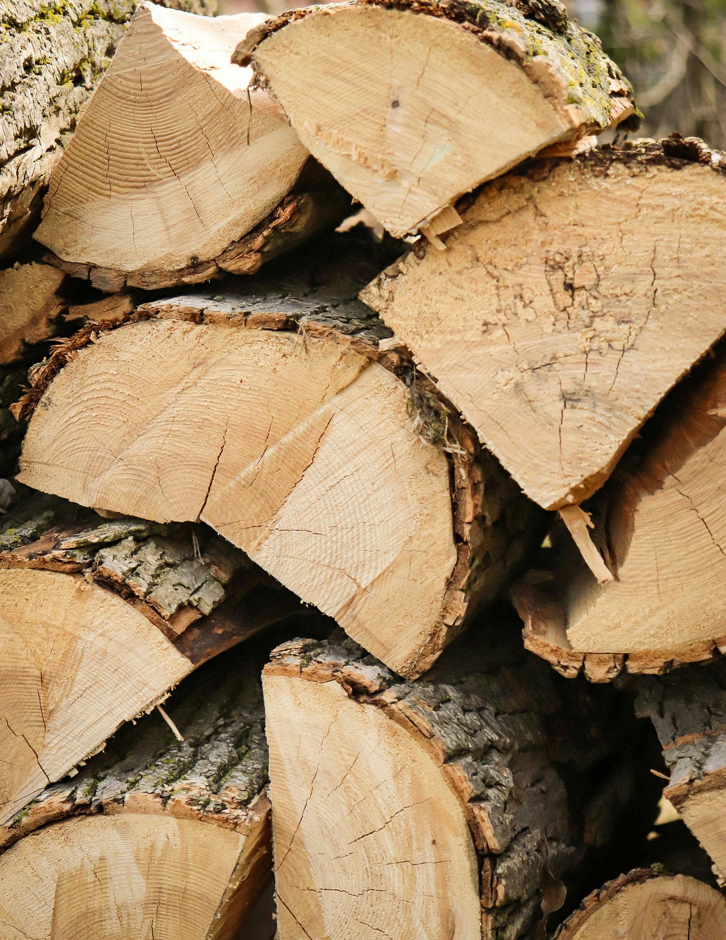 Photo by hlaurphotography