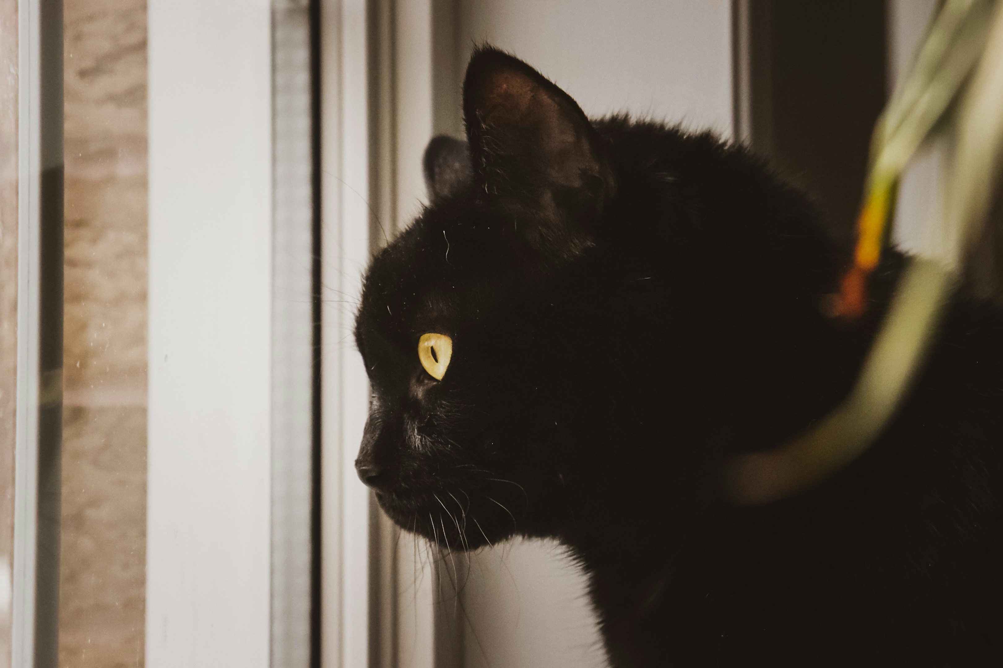 Photo by hlaurphotography