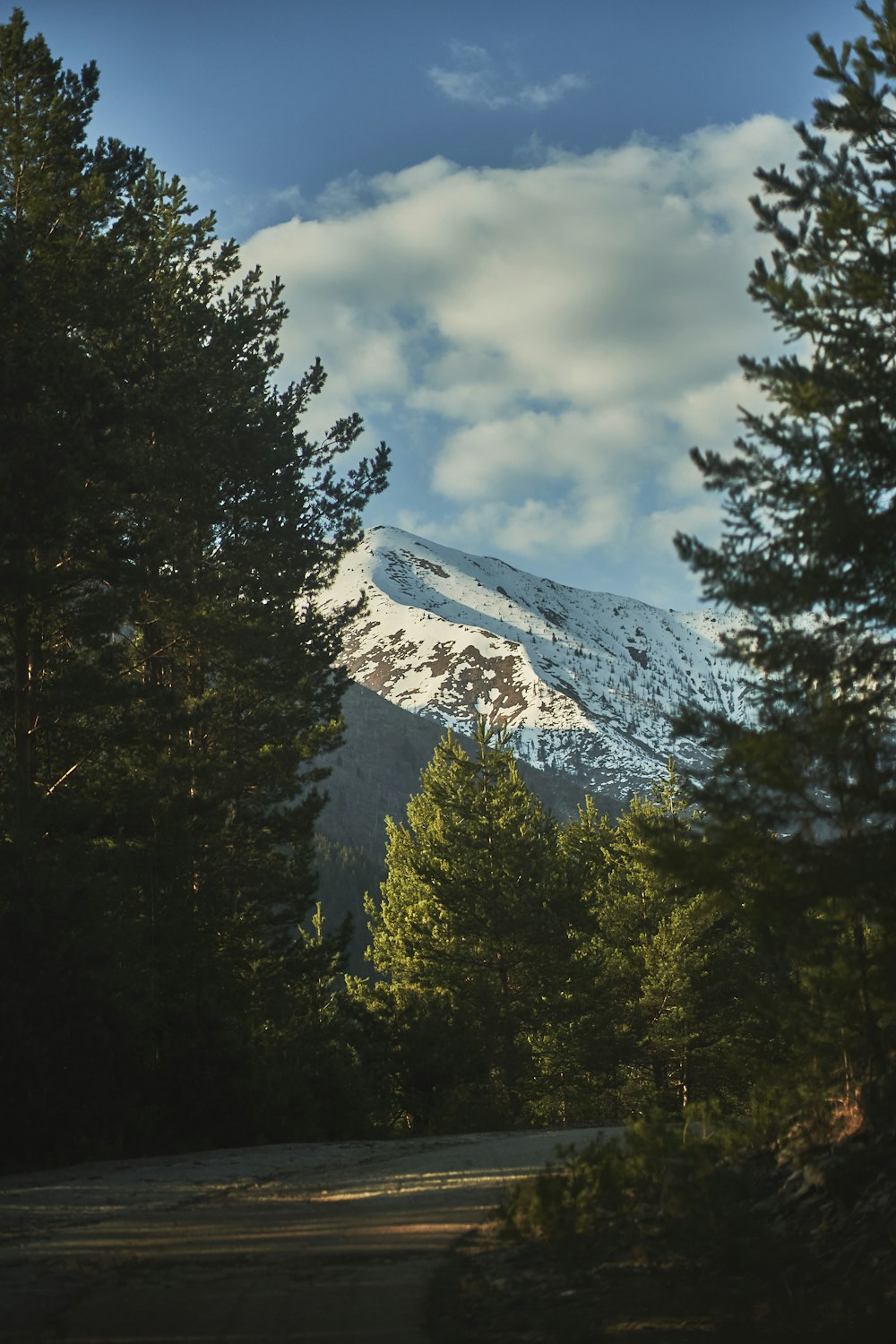 green trees near snow covered mountain under cloudy sky during daytime