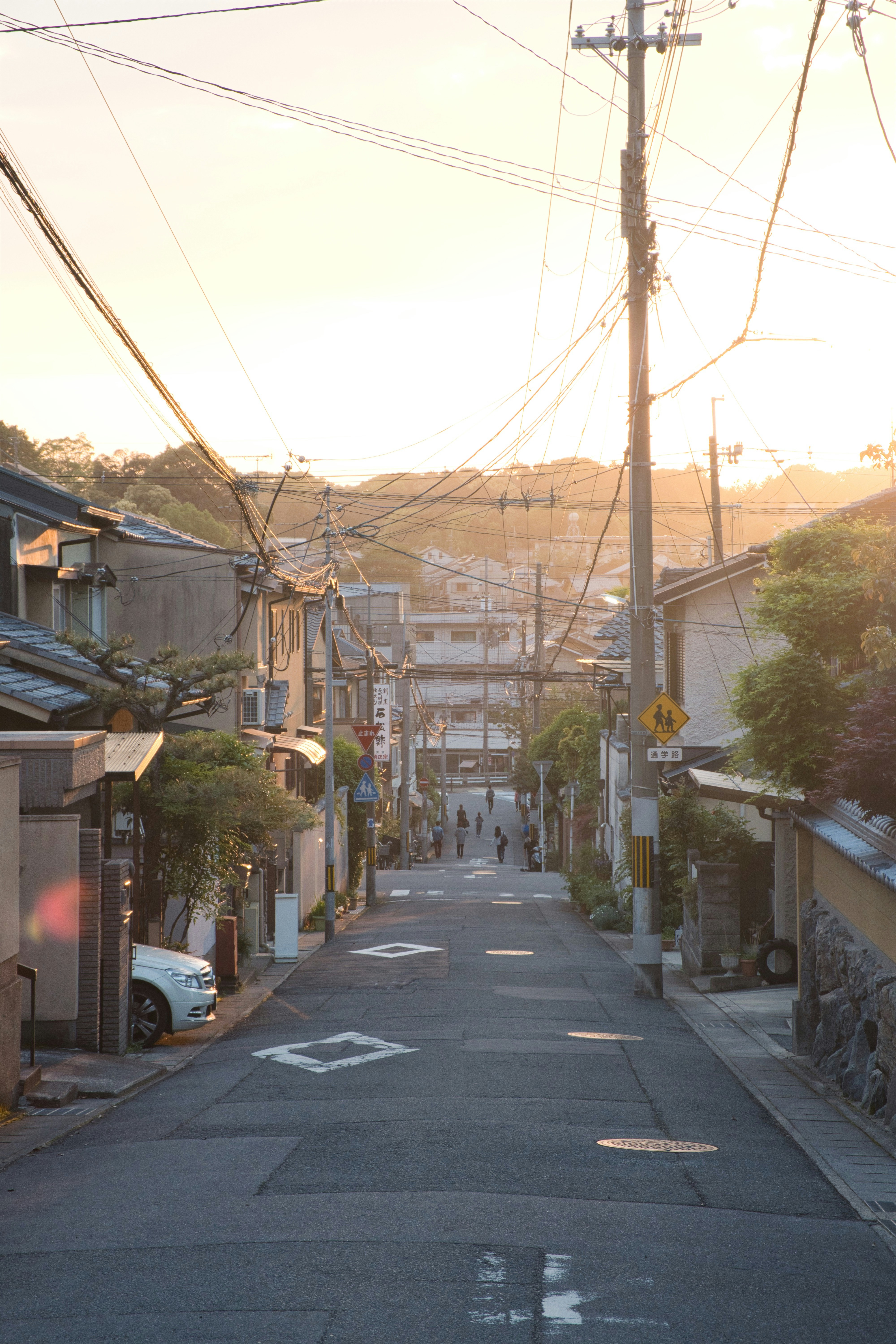 Photo by palomoduarte