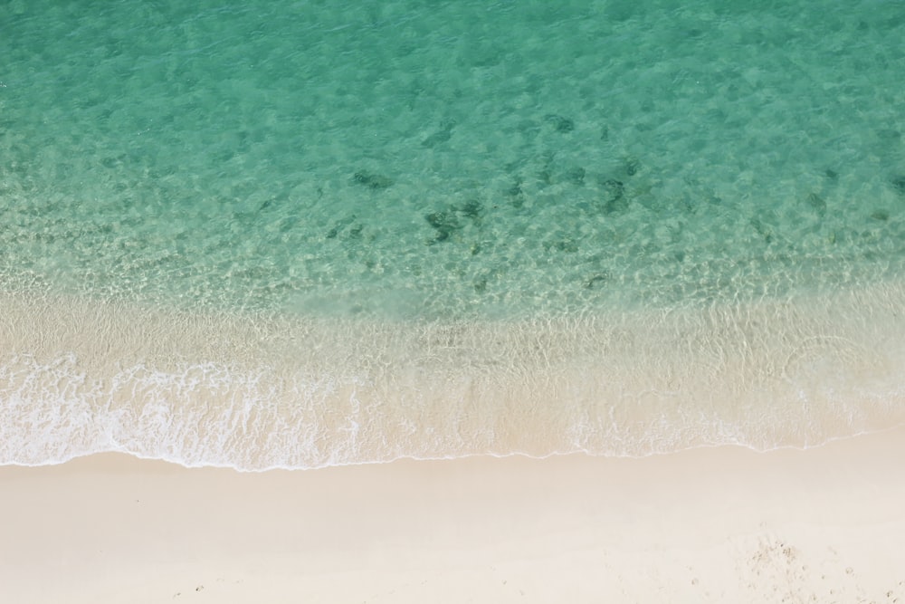 aerial view of beach during daytime