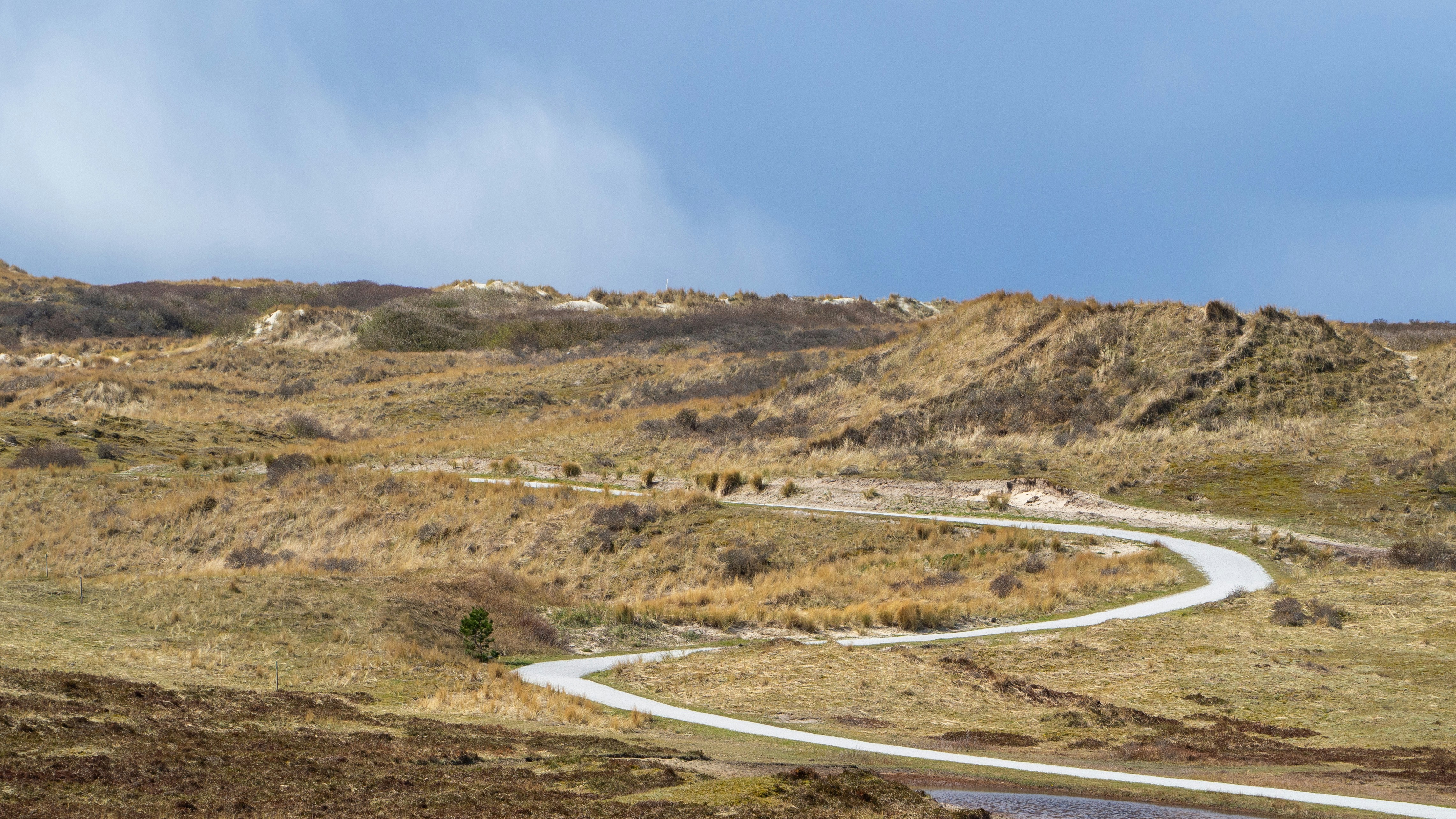 Photo by wimvanteinde