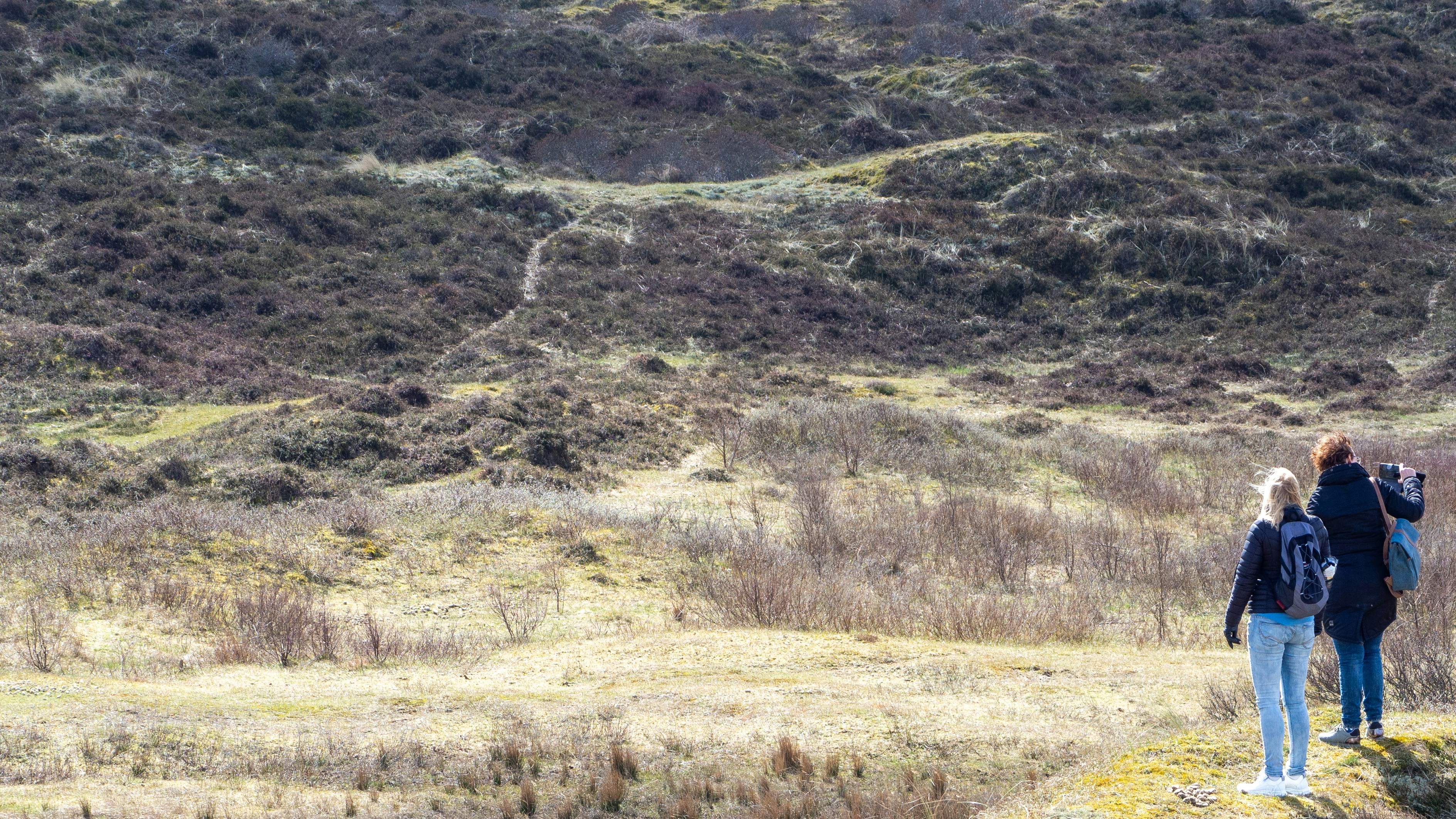 Photo by wimvanteinde