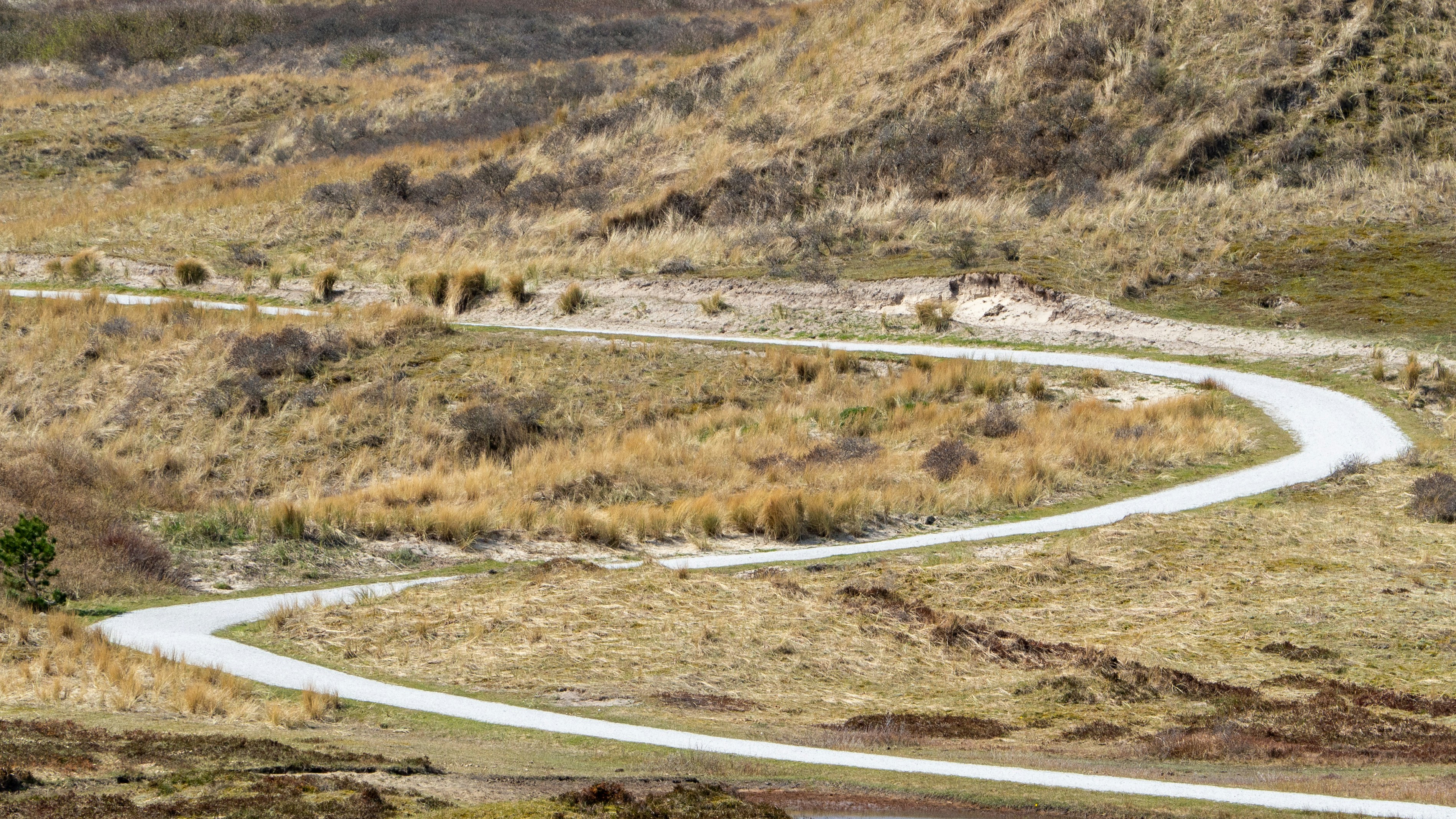 Photo by wimvanteinde