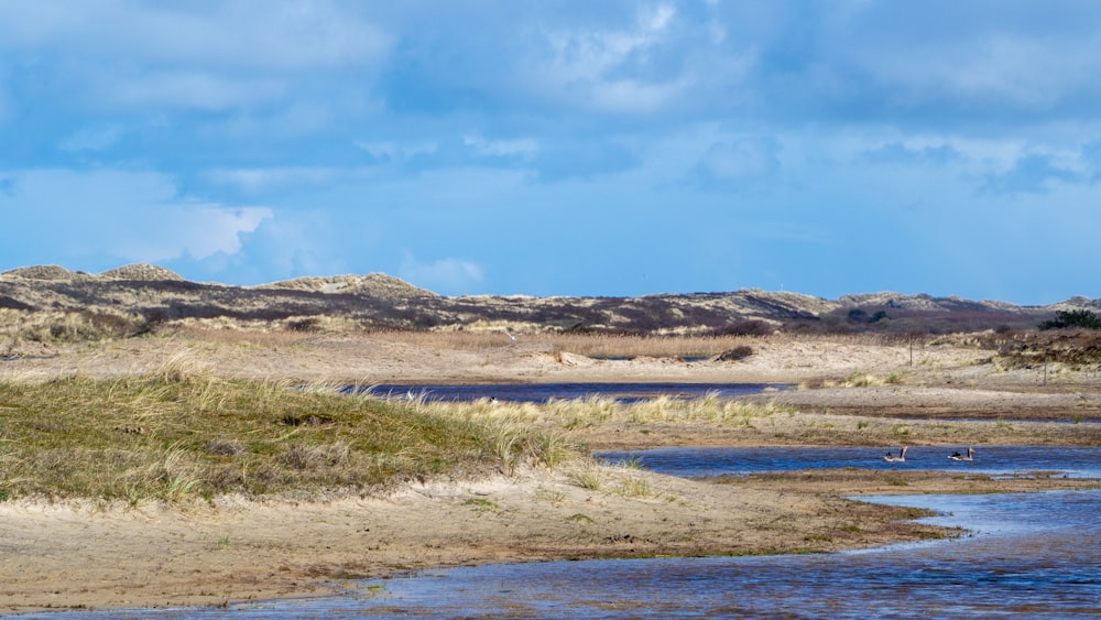 brown field under blue sky during daytime