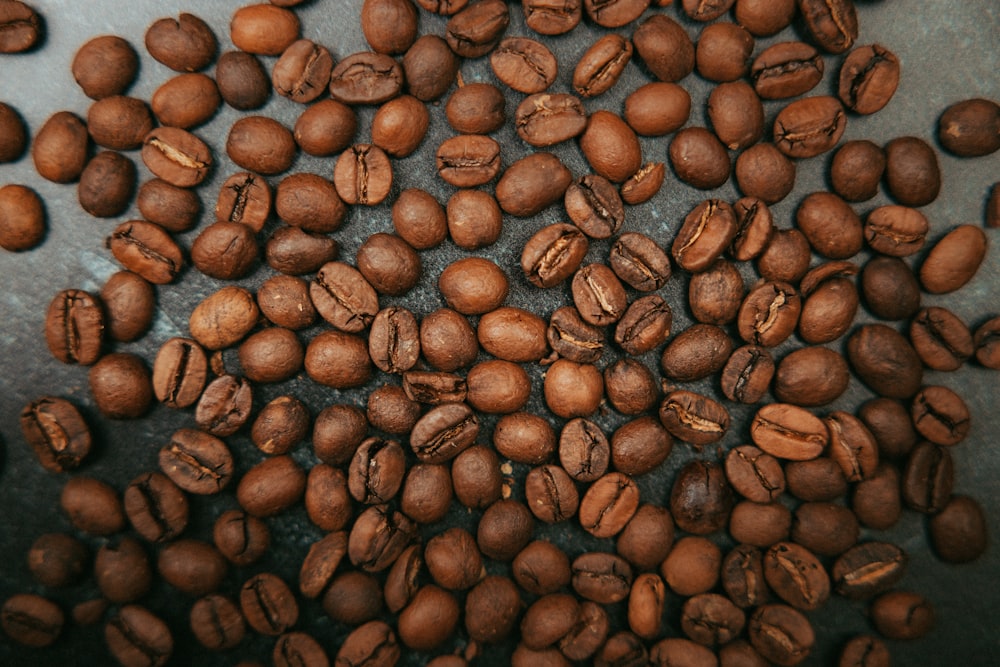 Granos de café marrón en un plato de cerámica azul