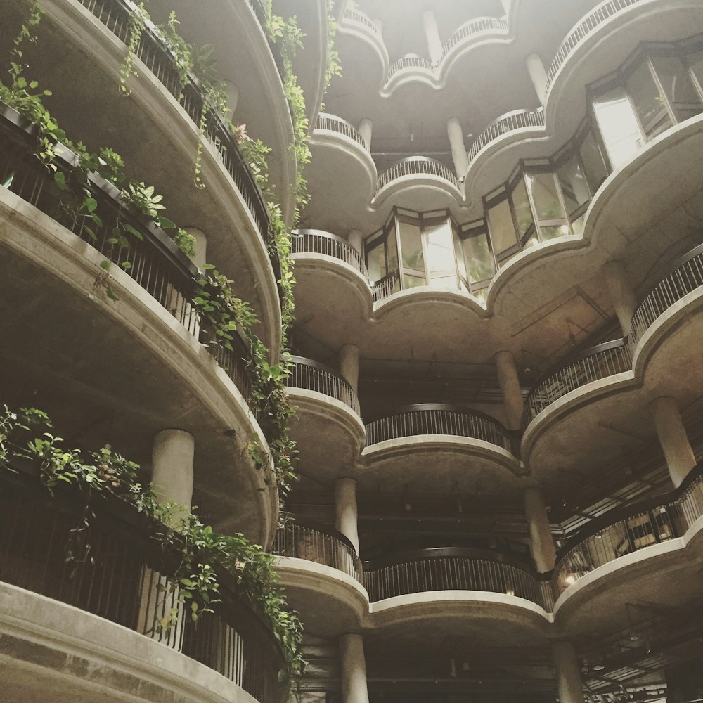 brown wooden building with green plants