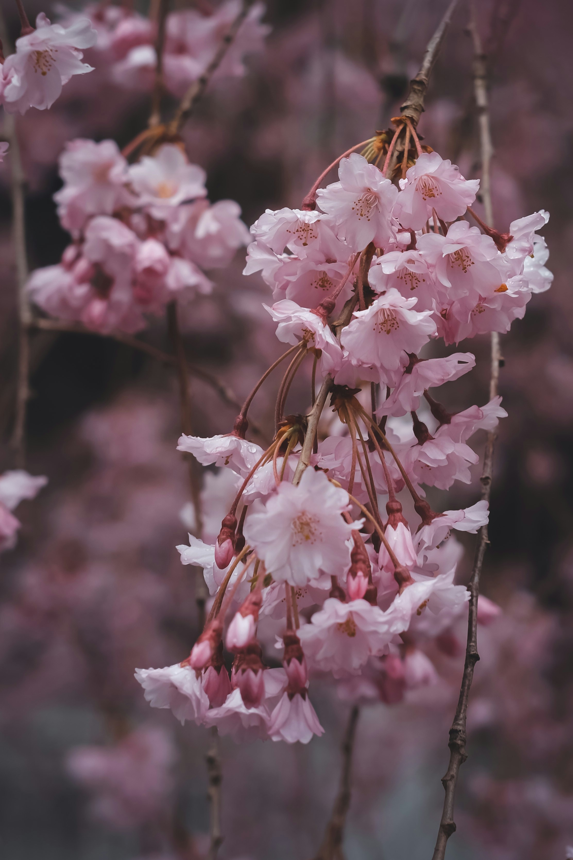 Photo by create4eyes