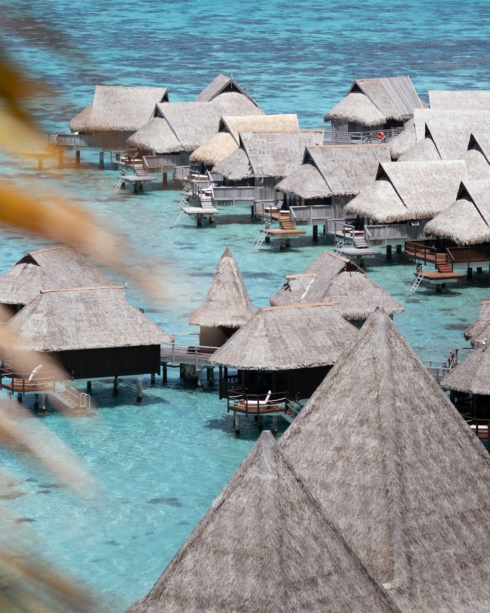 brown wooden roof on body of water