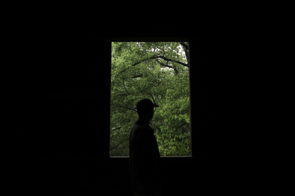 silhouette of person standing near green trees during daytime