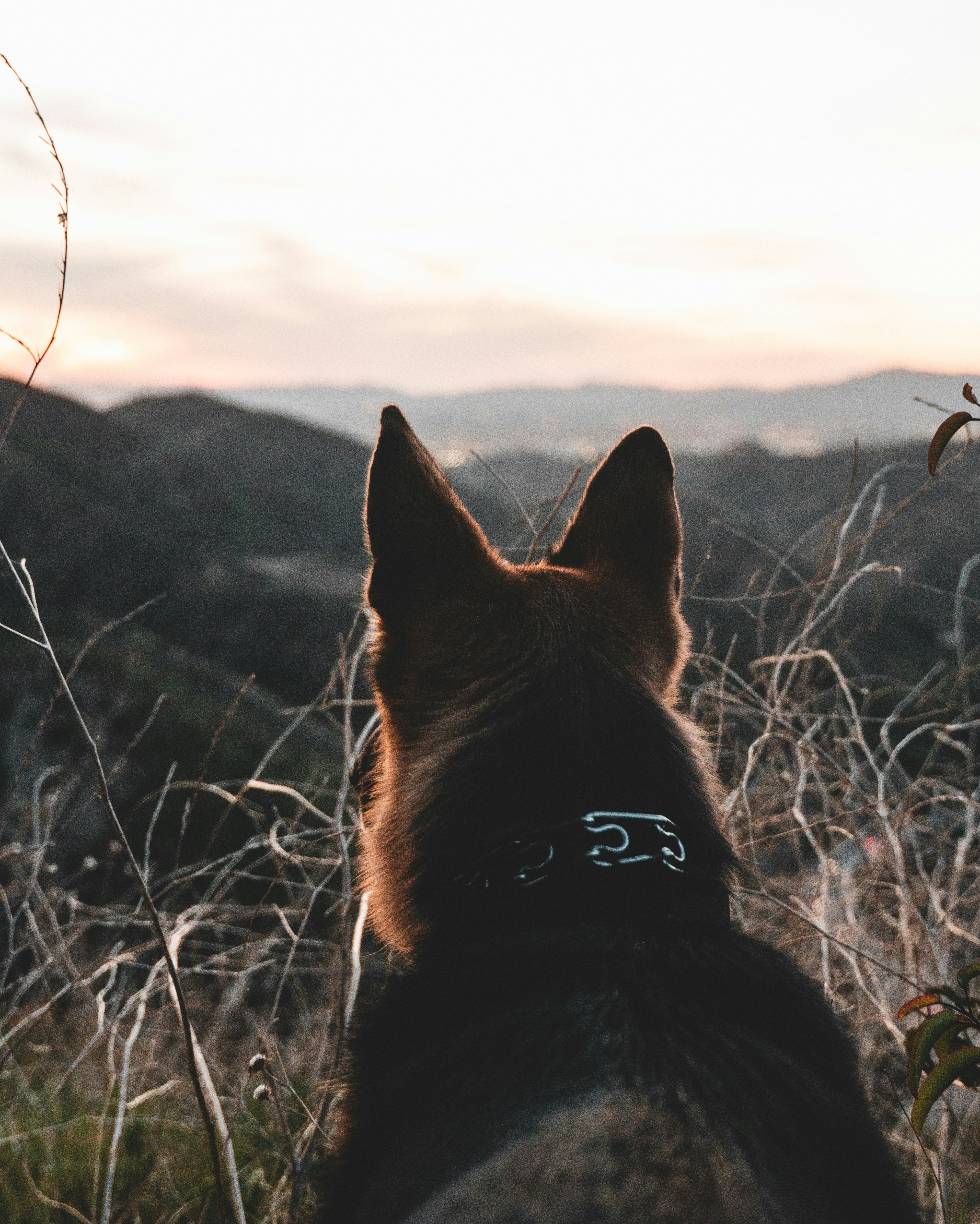 Photo by alenkajtezovic