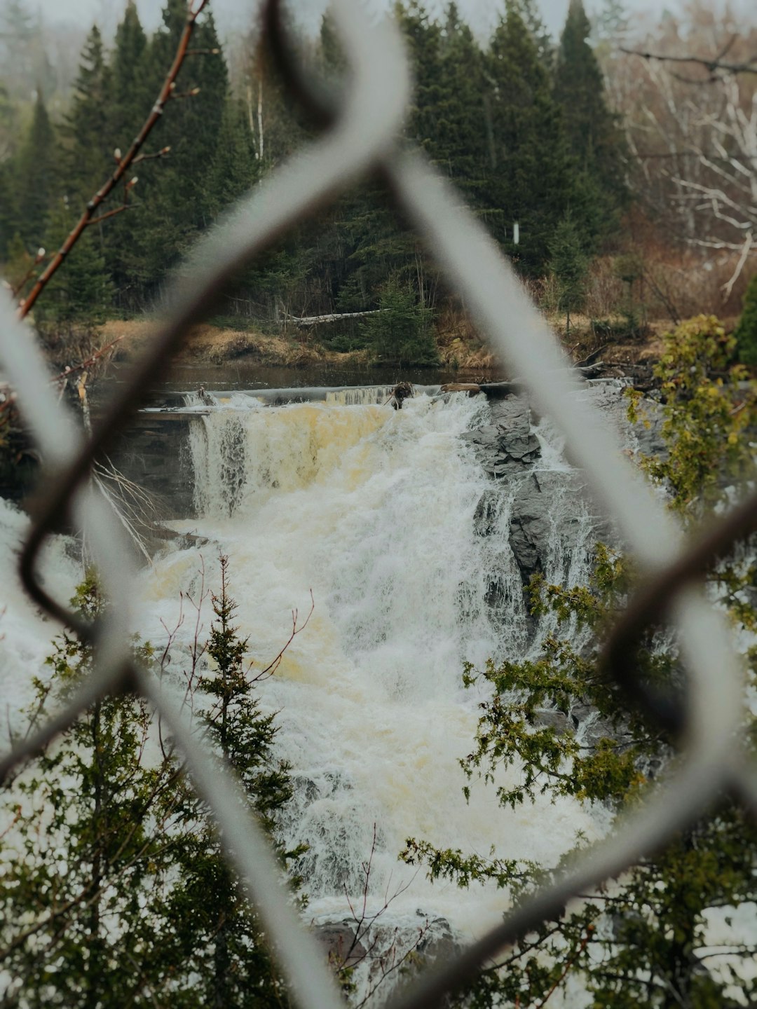 water falls in the middle of the forest