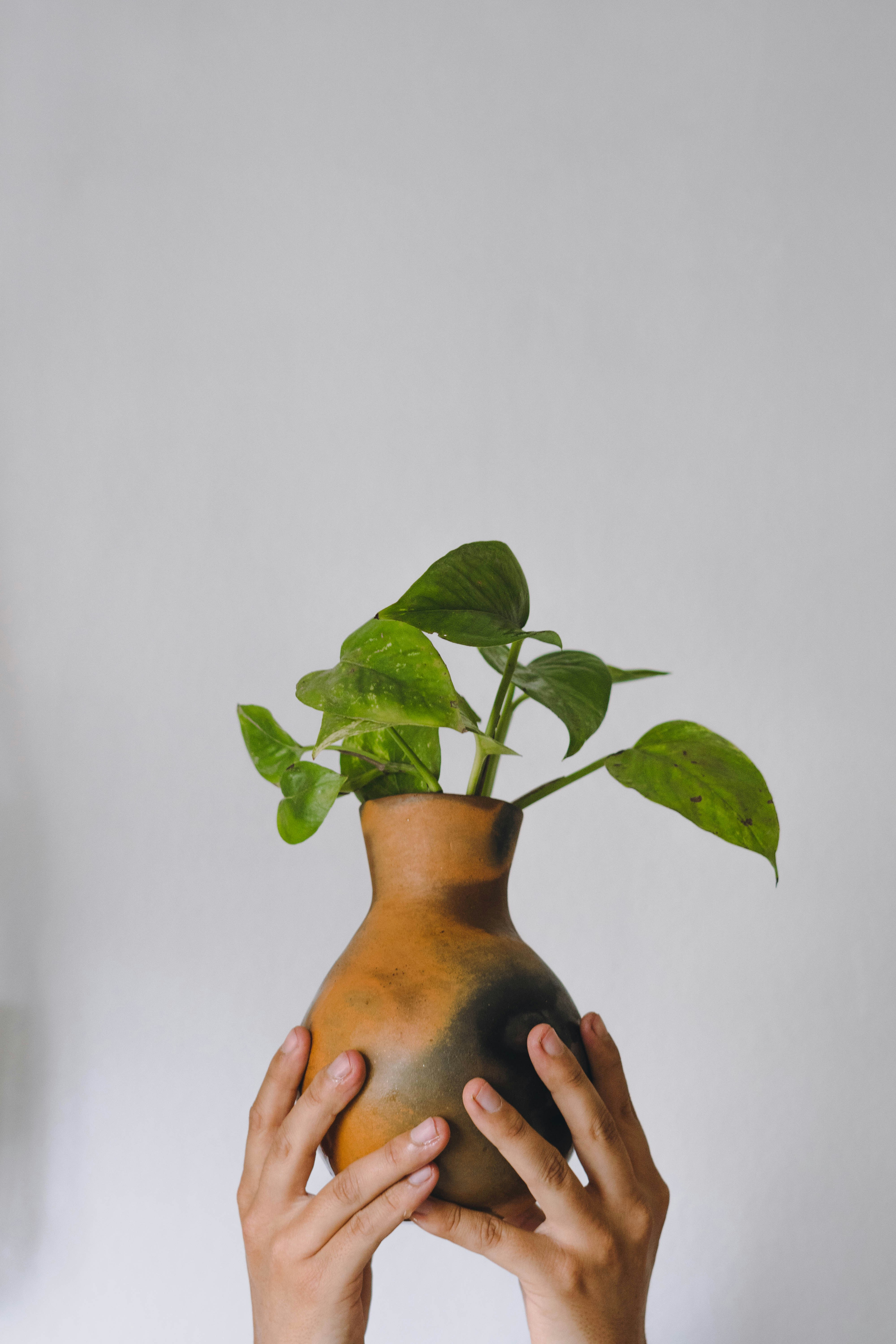 Photo by marcoelizaldemx