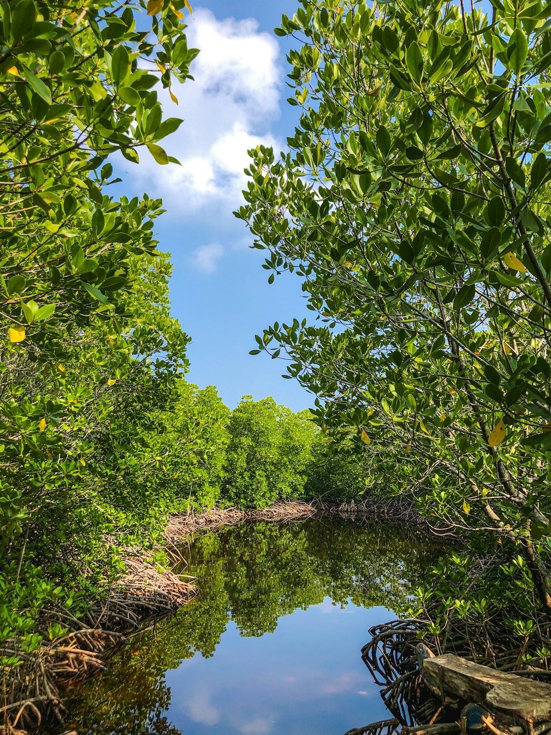 photo of Kumundhoo Watercourse near Kulhudhuffushi