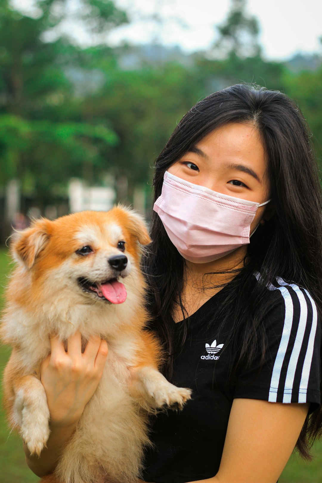 woman in black and white striped shirt holding brown pomeranian