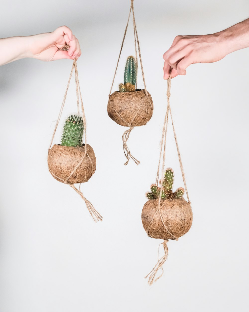 person holding brown and green hanging decor