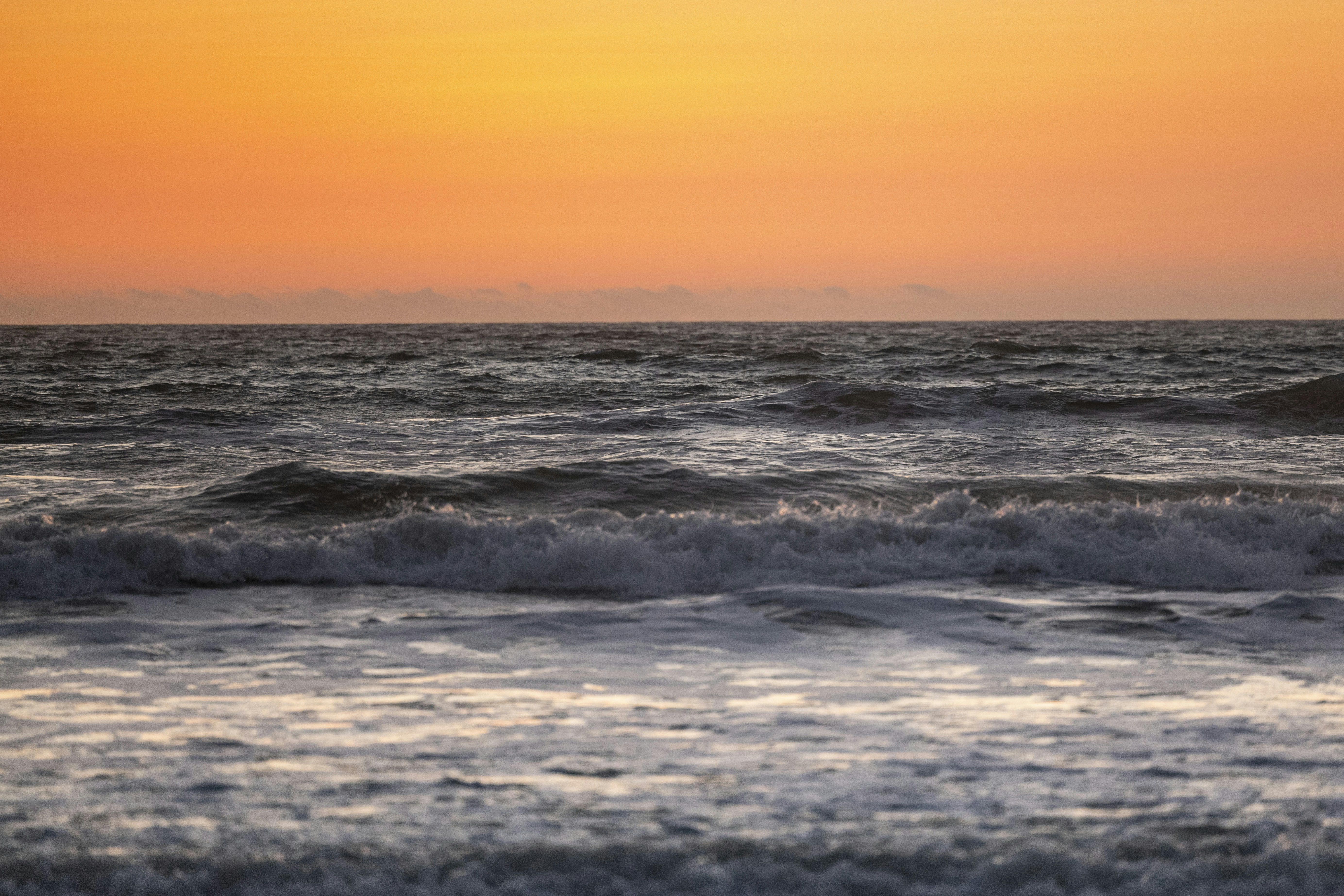 Photo by leo_visions_