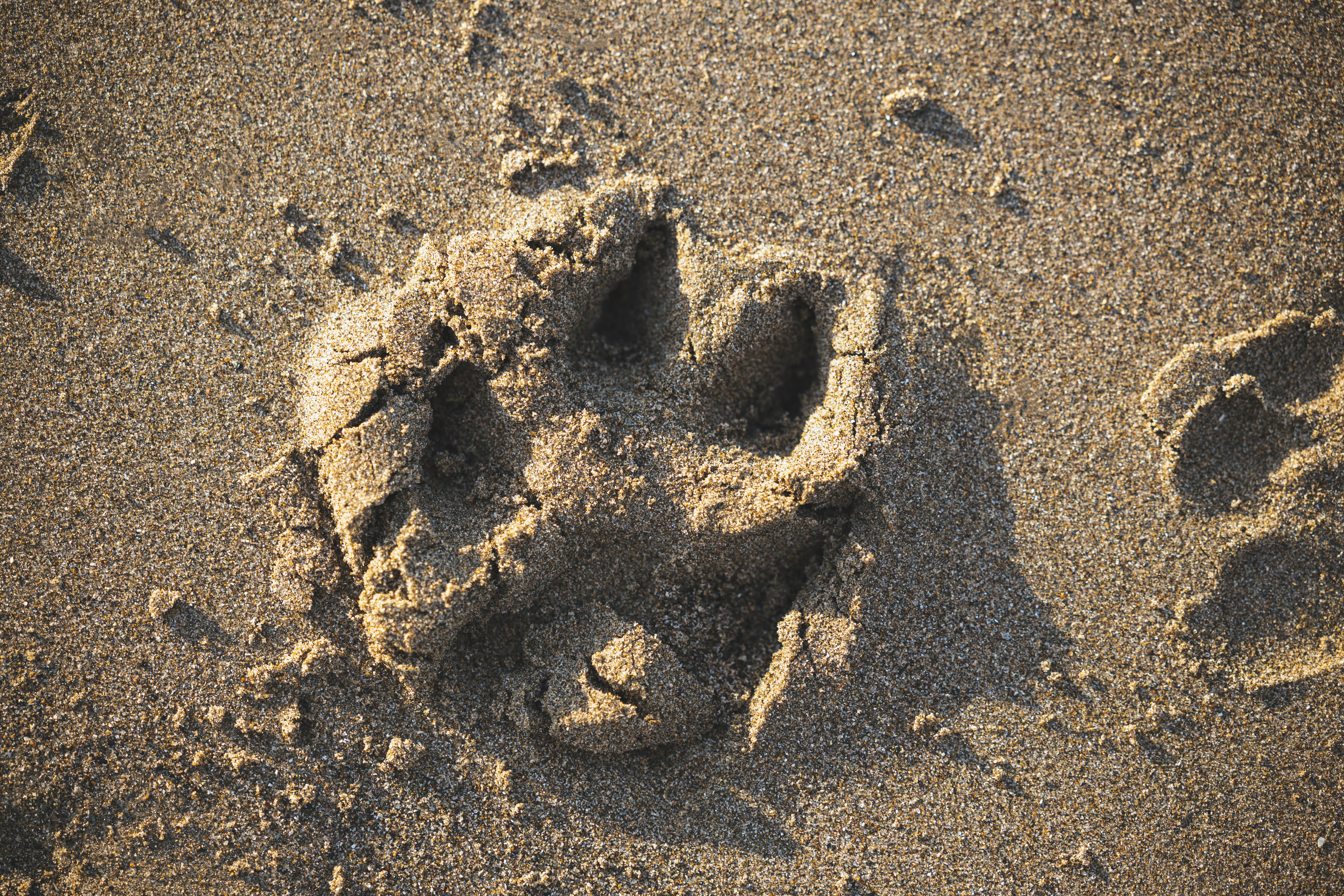 brown sand with heart shaped sand