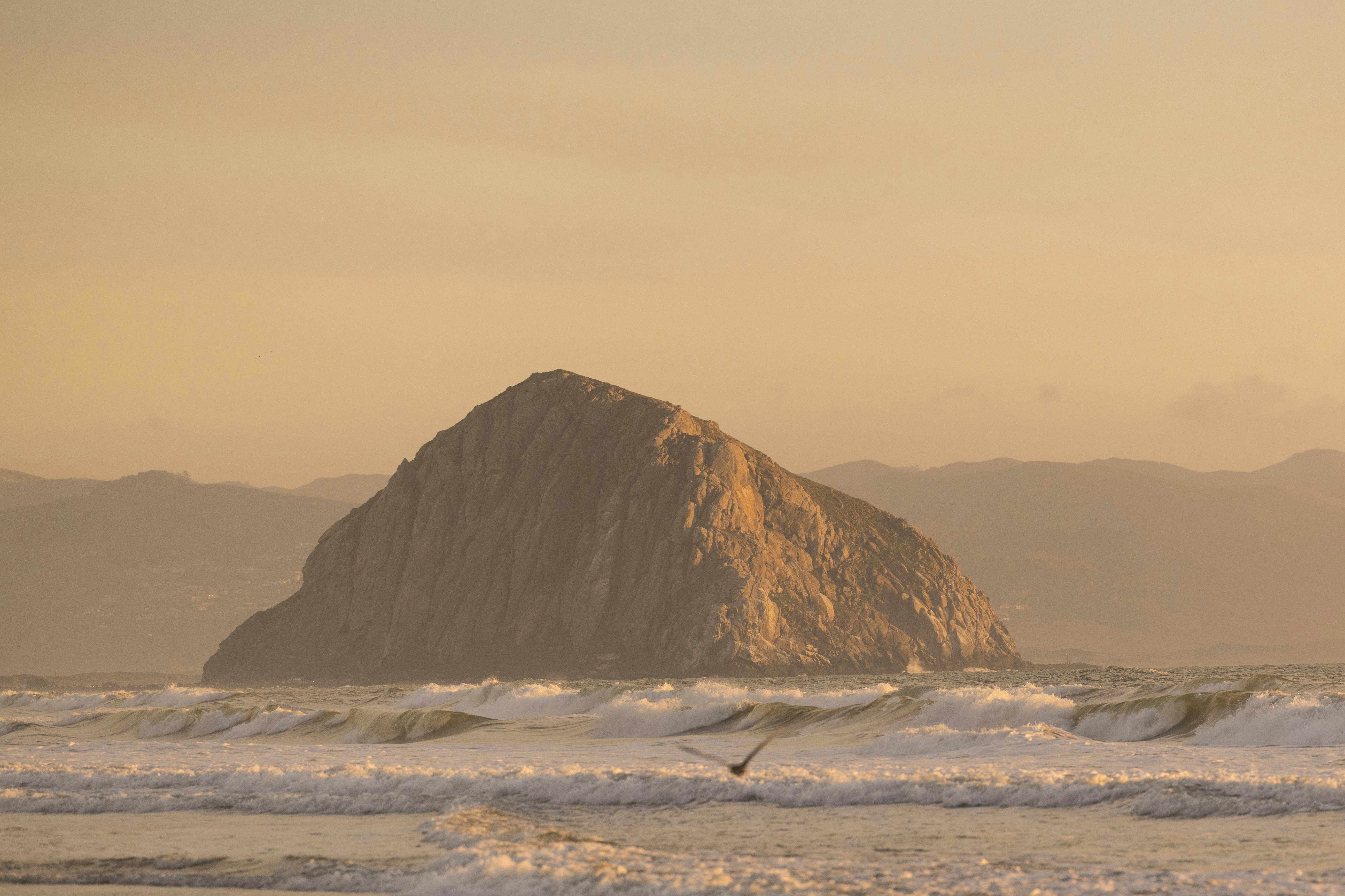 Photo by leo_visions_